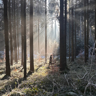 Wintersonnenwende