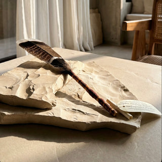 Wild-Truthhahn Räucherfeder