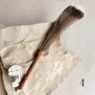 Wild-Truthhahn Räucherfeder