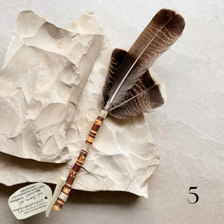 Wild-Truthhahn Räucherfeder