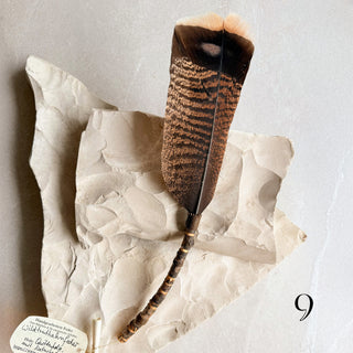 Wild-Truthhahn Räucherfeder